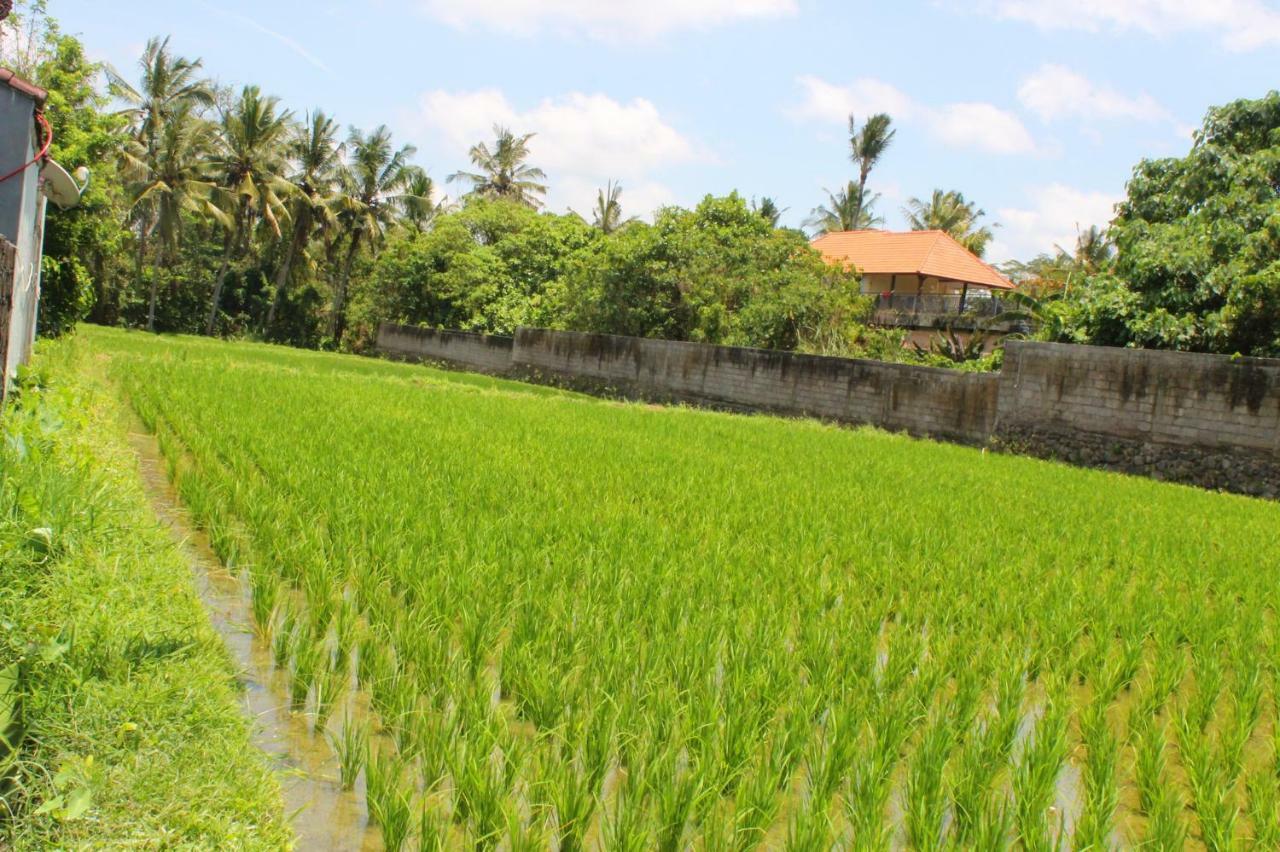 White Creative Villa Campuhan Ubud Extérieur photo