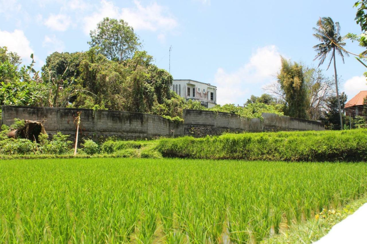 White Creative Villa Campuhan Ubud Extérieur photo